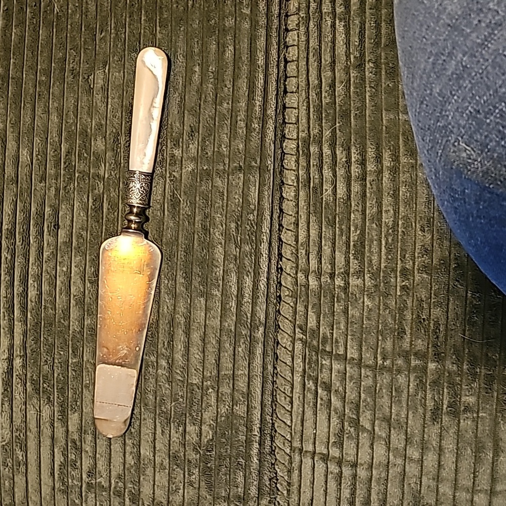 Mother of pearl handles cake server - Picture 3 of 5